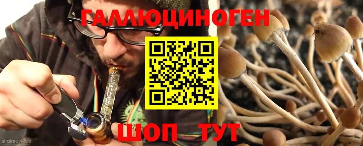 Галлюциногенные грибы MAGIC MUSHROOMS  Вход с VPN  Оренбург 